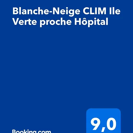 Blanche-neige Clim Ile Verte Proche Hopital 아파트
